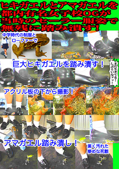ヒキガエルとアマガエルを都内有名女子校OGが踏み潰す！