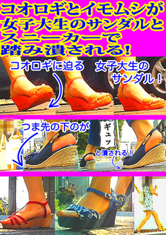 コオロギとイモムシがスニーカーで踏み潰される！