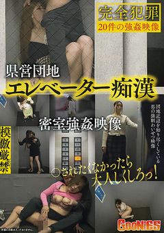 県営団地エレベーター痴○ 密室○○映像