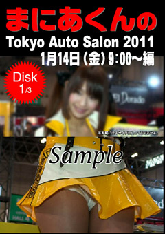 まにあくんのTokyo Auto Salon2011 1月14日9:00～編