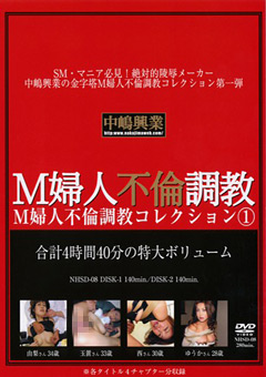 M婦人不倫調○コレクション1