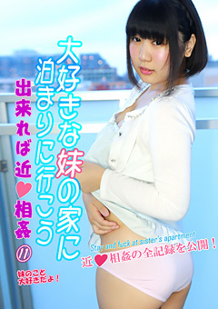 大好きな妹の家に泊まりに行こう11 出来れば近●相○