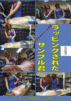 ラッピングされたサンプル君