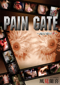 PAIN GATE ～向日葵の華～
