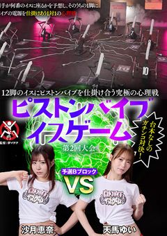 ピストンバイブイスゲーム 第2回大会 予選Bブロック