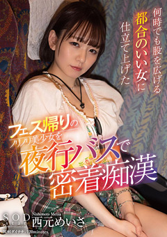 フェス帰りのノリノリ美少女を夜行バスで密着痴○