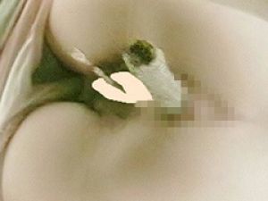 オールうんこ第2弾 汲み取りトイレ下から○撮