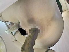 汲み取り仮設トイレ（1）